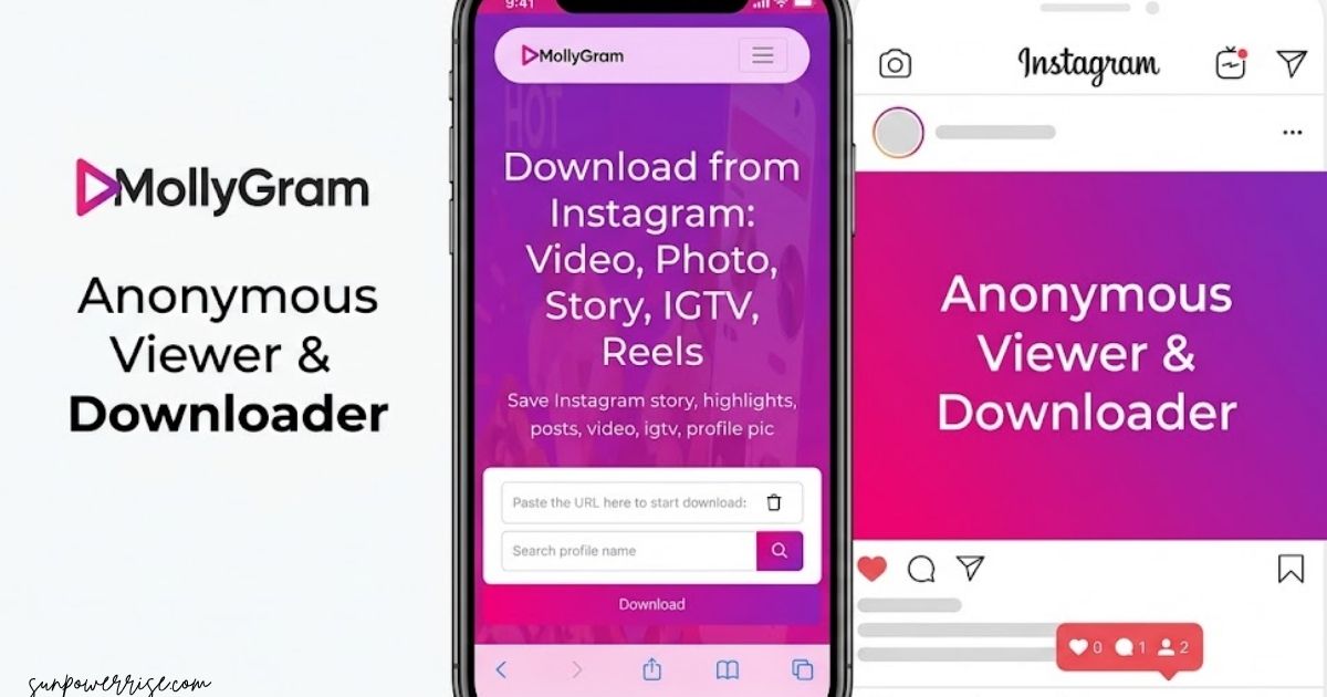 Mollygram Instagram anonymous viewer and downloader interface