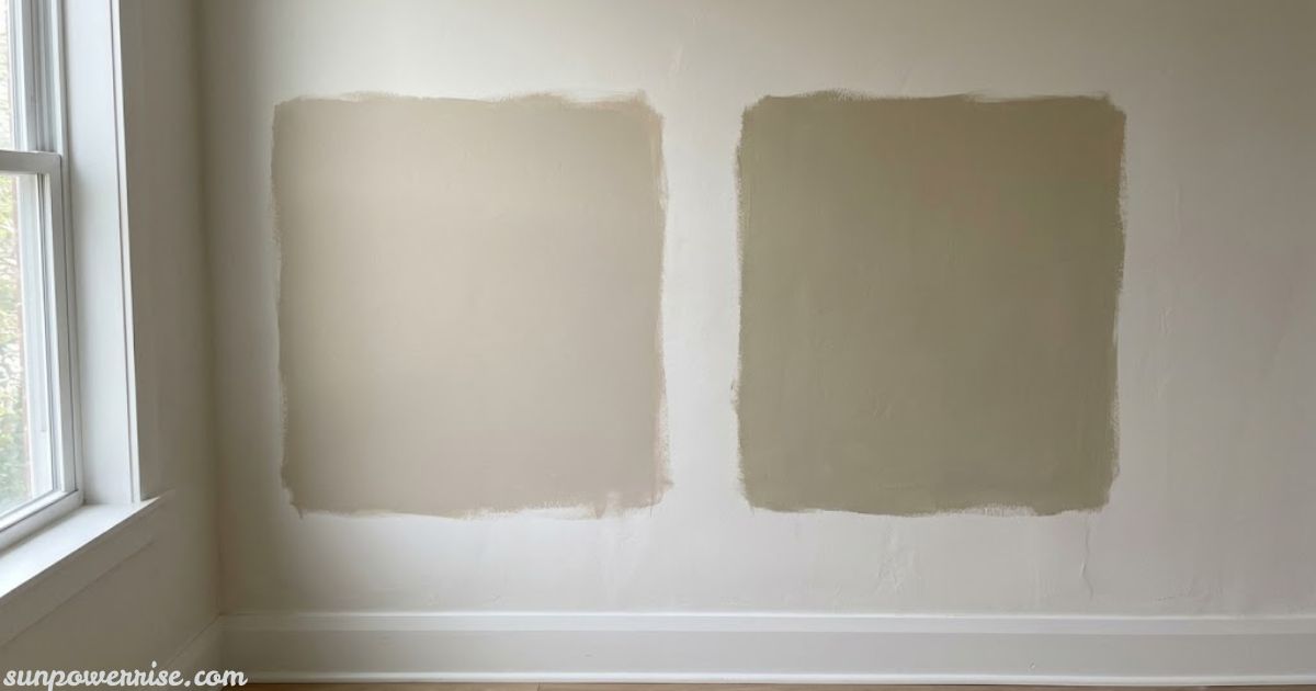 Egyptian cotton paint colour samples displayed on a neutral wall.