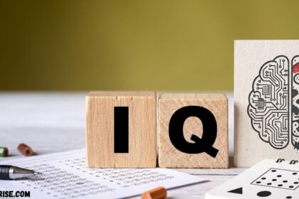 Average IQ UK represented by IQ assessment blocks and cognitive testing materials.
