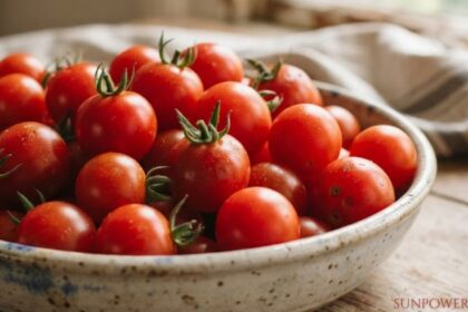 Bowl of fresh tomatoes illustrating how many carbs in tomatoes.
