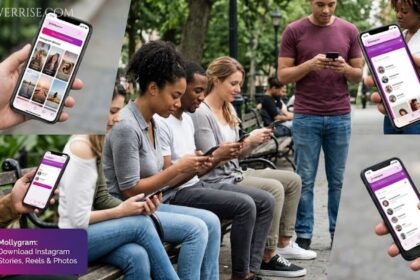 Mollygram instagram app for downloading Instagram Stories, Reels, and photos